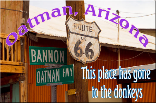 Route 66, Oatman AZ, Route 66 Collectible, Route 66 Fridge Magnet  #AZMG7095