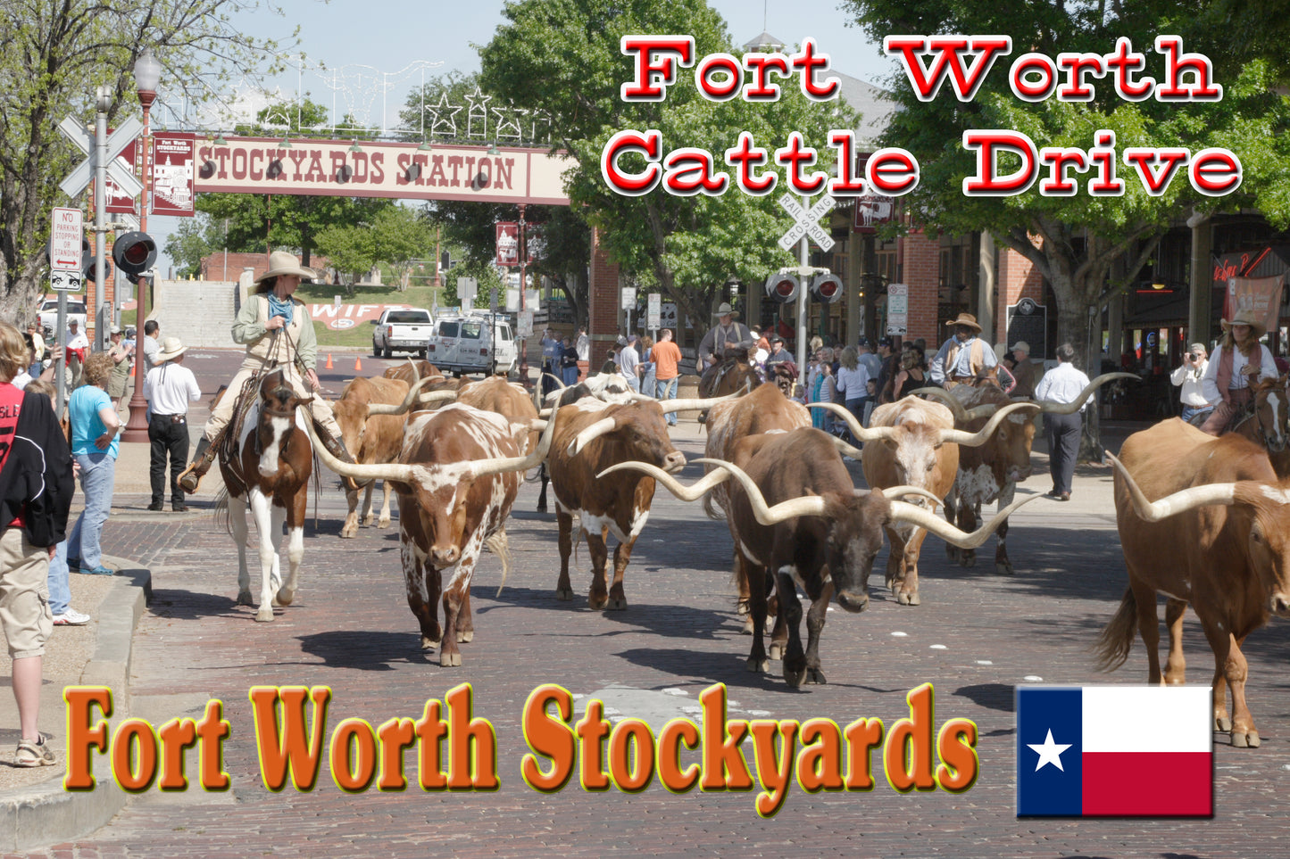 Fridge Magnet of Longhorn Drive in the Stockyards in Fort Worth, TX