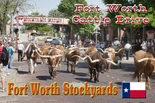 Fridge Magnet of Longhorn Drive in the Stockyards in Fort Worth, TX